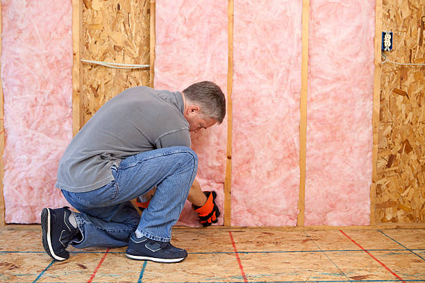 Best DIY Insulation Kits and Guidance in Mechanicsburg, OH